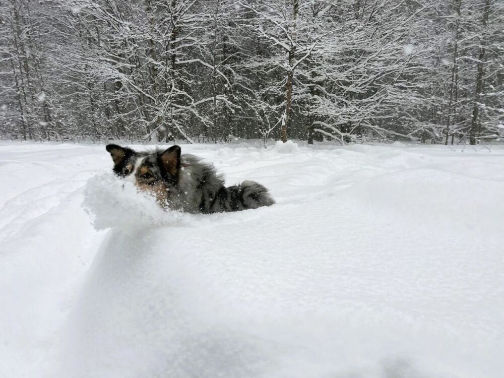 Photograph by Светлана Парамонова