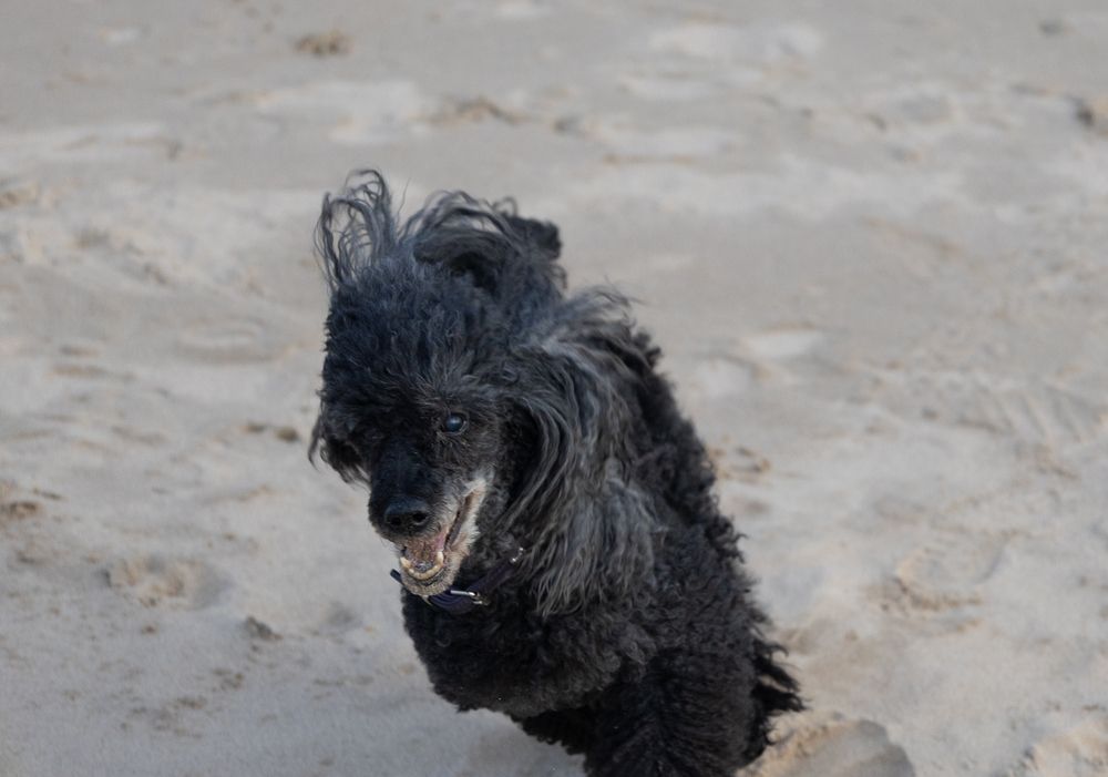 Photograph by Наталья Катюжанская