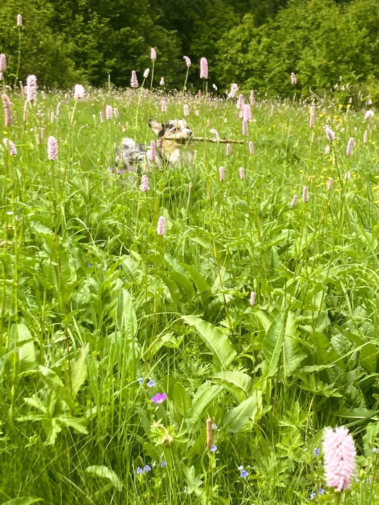 Photograph by Светлана Парамонова