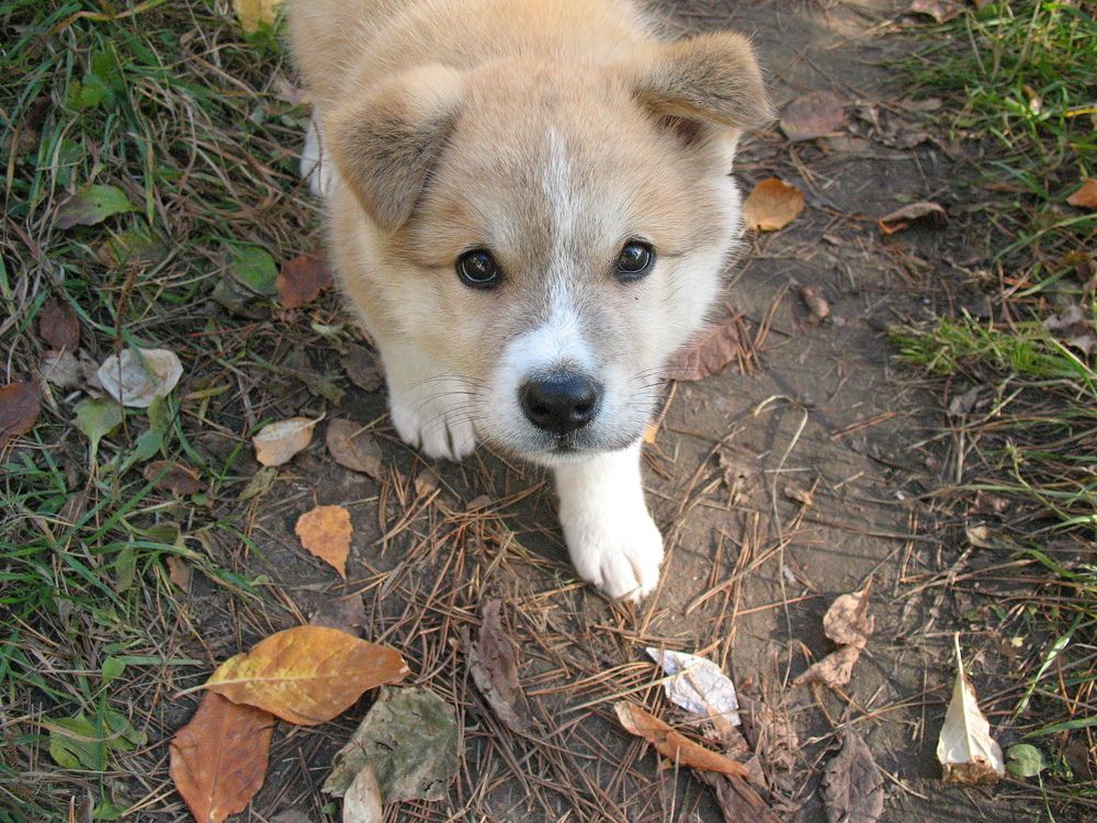 Photograph by Владимир