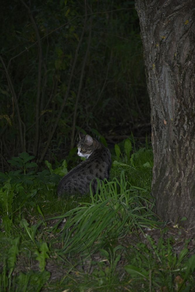 Photograph by Юлия Финогенова