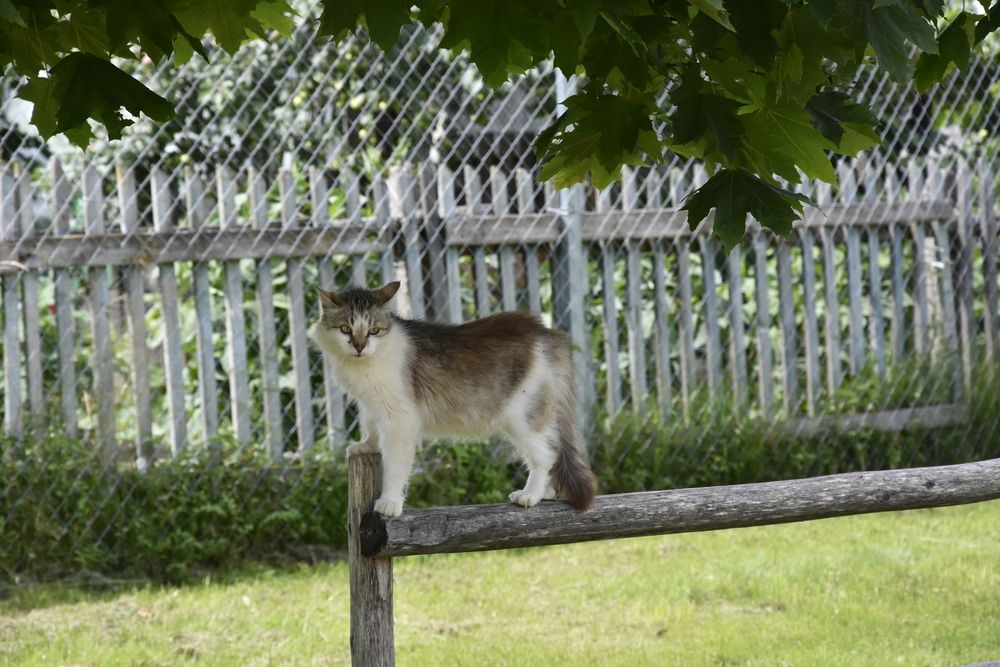 Photograph by Юлия Финогенова