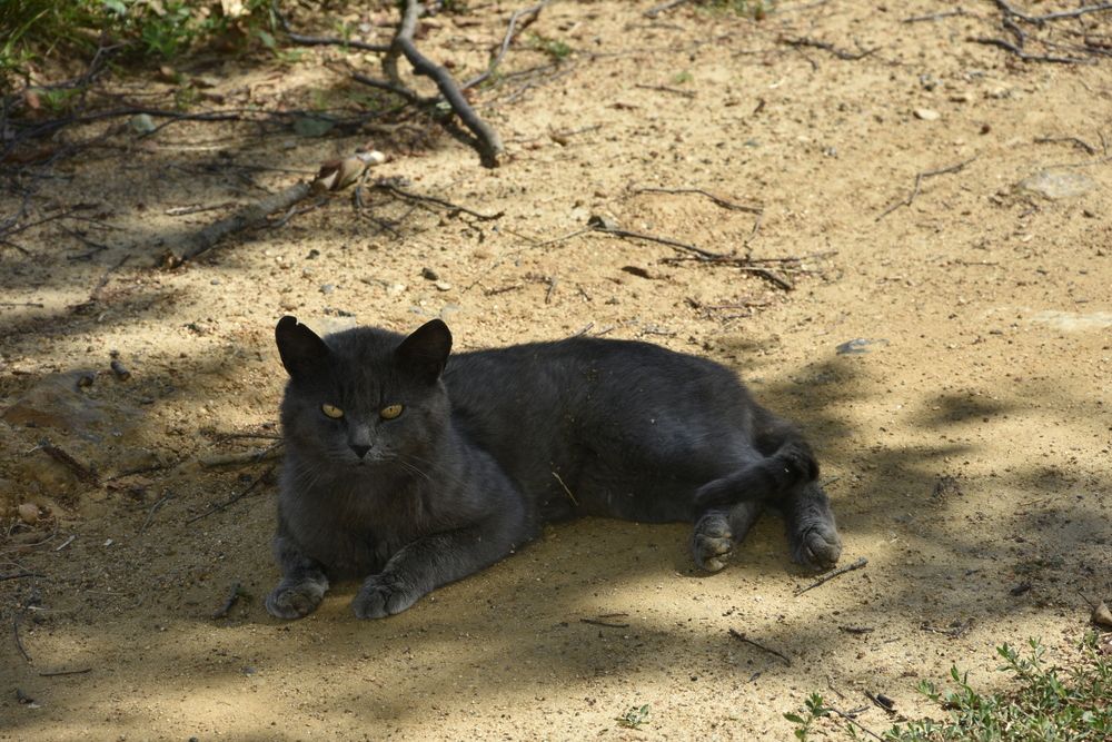 Photograph by Юлия Финогенова