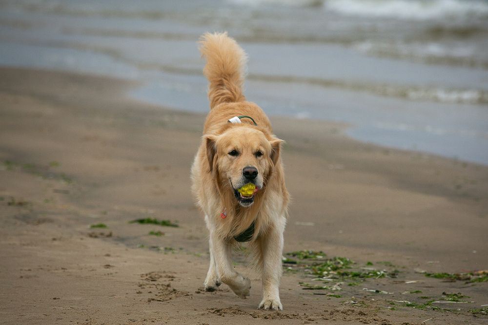 Photograph by Наталья Катюжанская