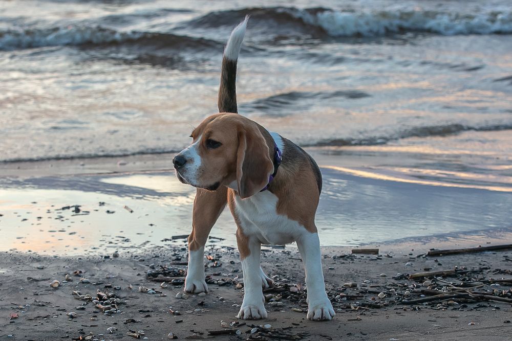 Photograph by Наталья Катюжанская