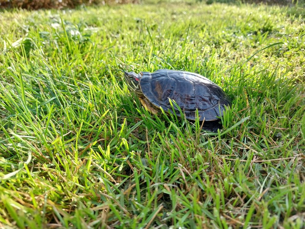 Photograph by Алёна Анфимова