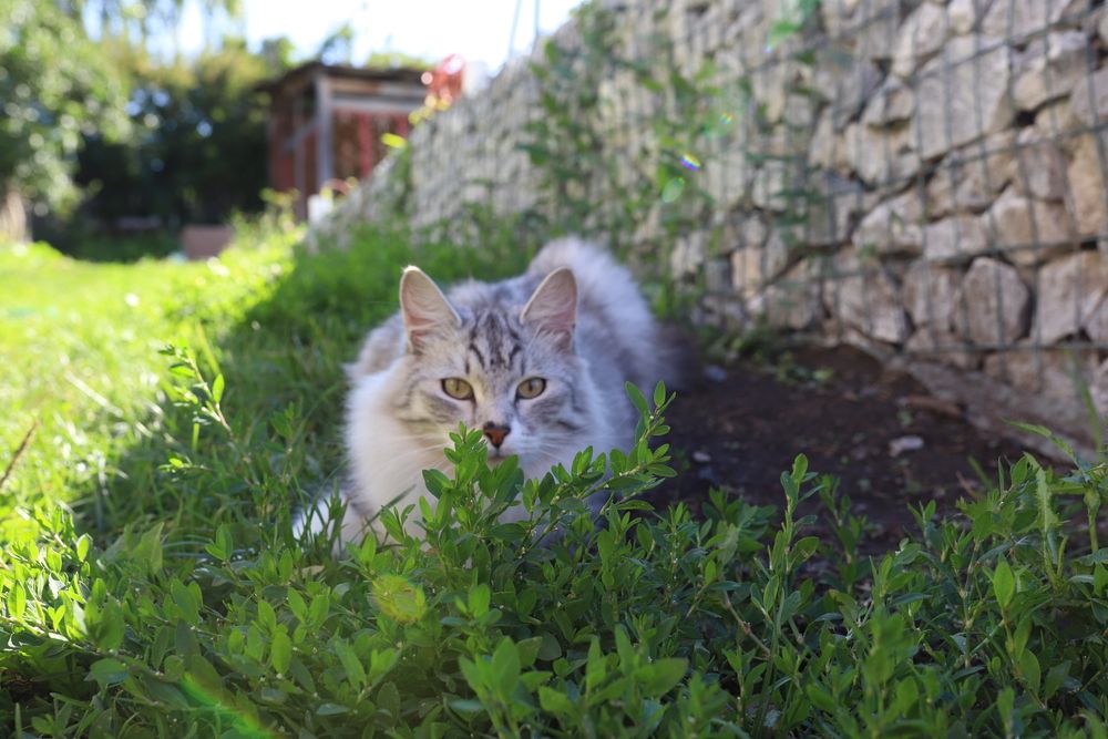 Photograph by Алёна Анфимова