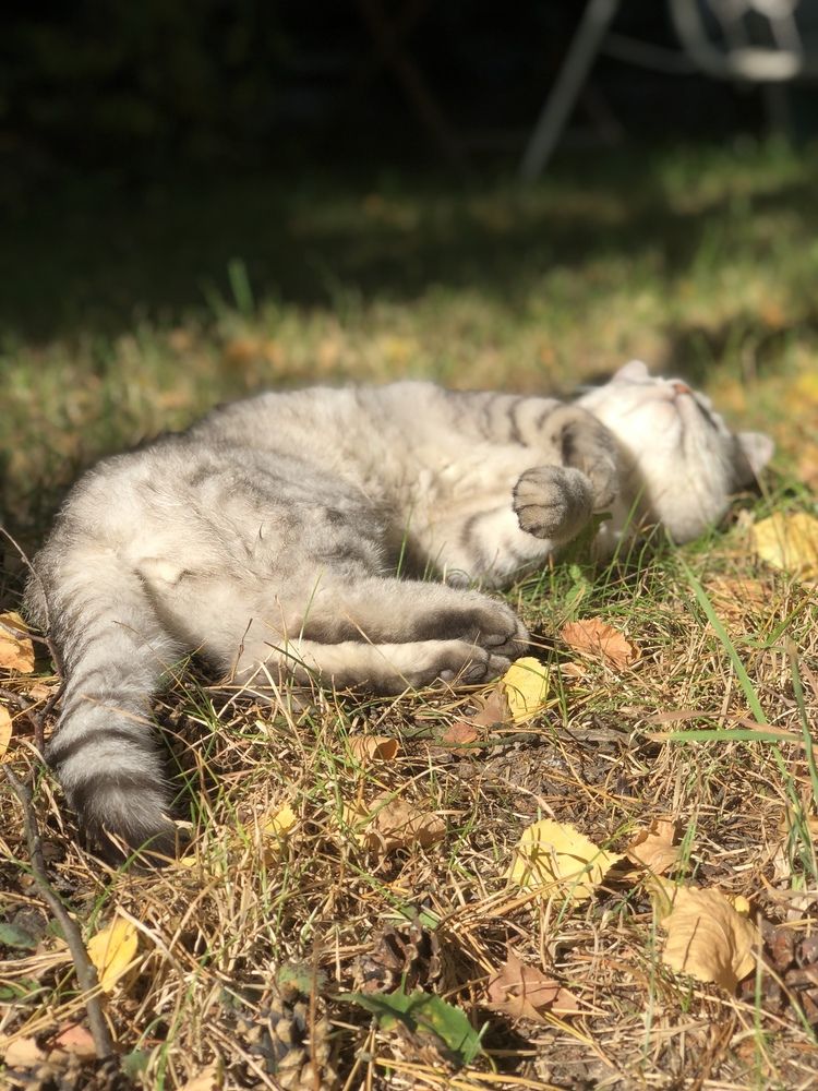 Photograph by Татьяна Тишкова