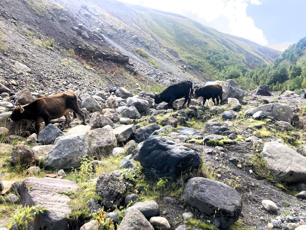 Photograph by Светлана Парамонова