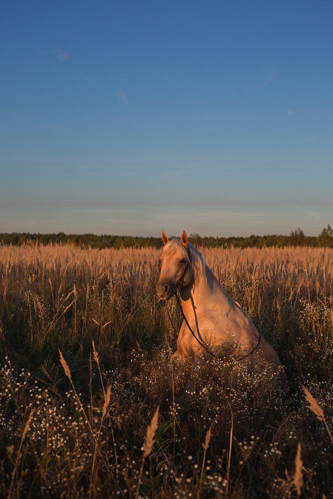 Photograph by Rimma Larkina