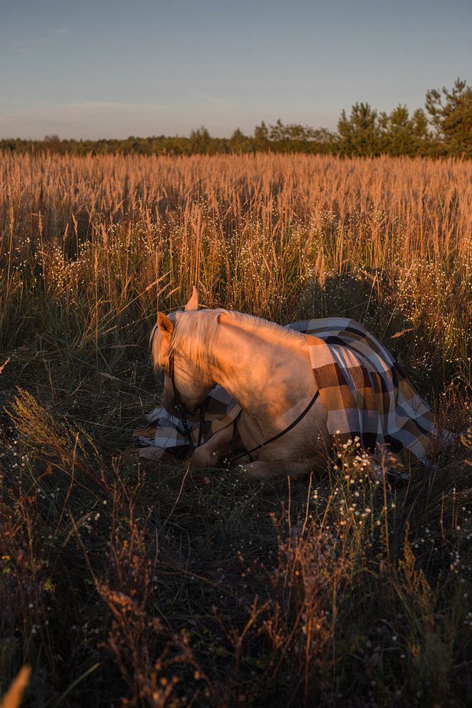 Photograph by Rimma Larkina