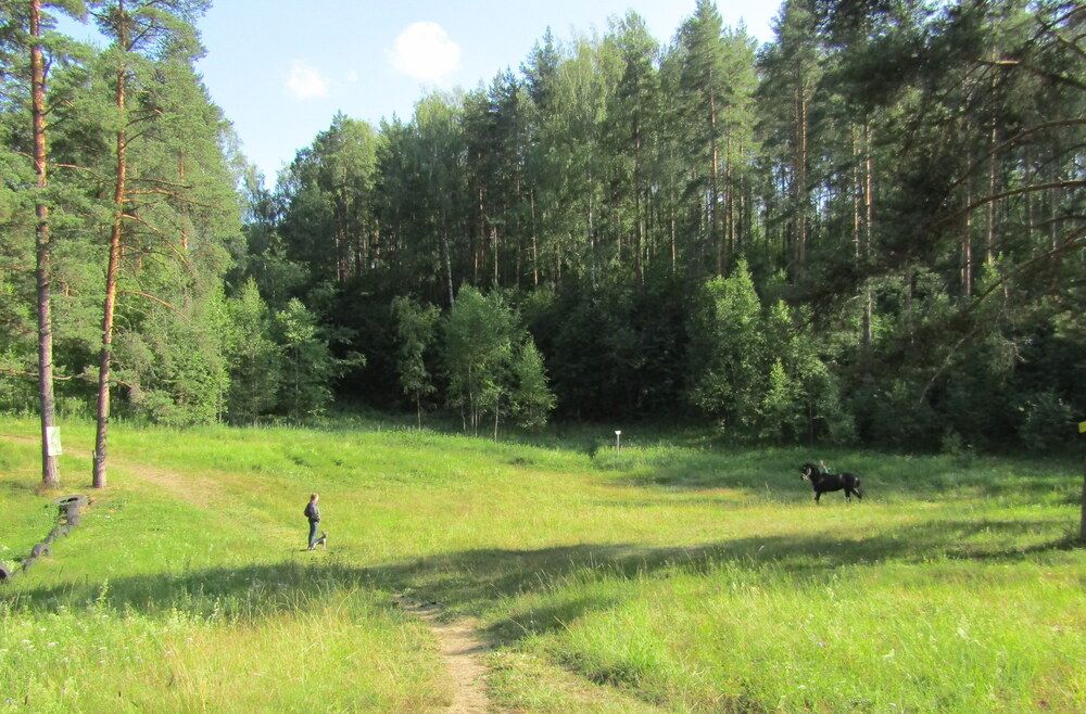 Photograph by Татьяна Смирнова