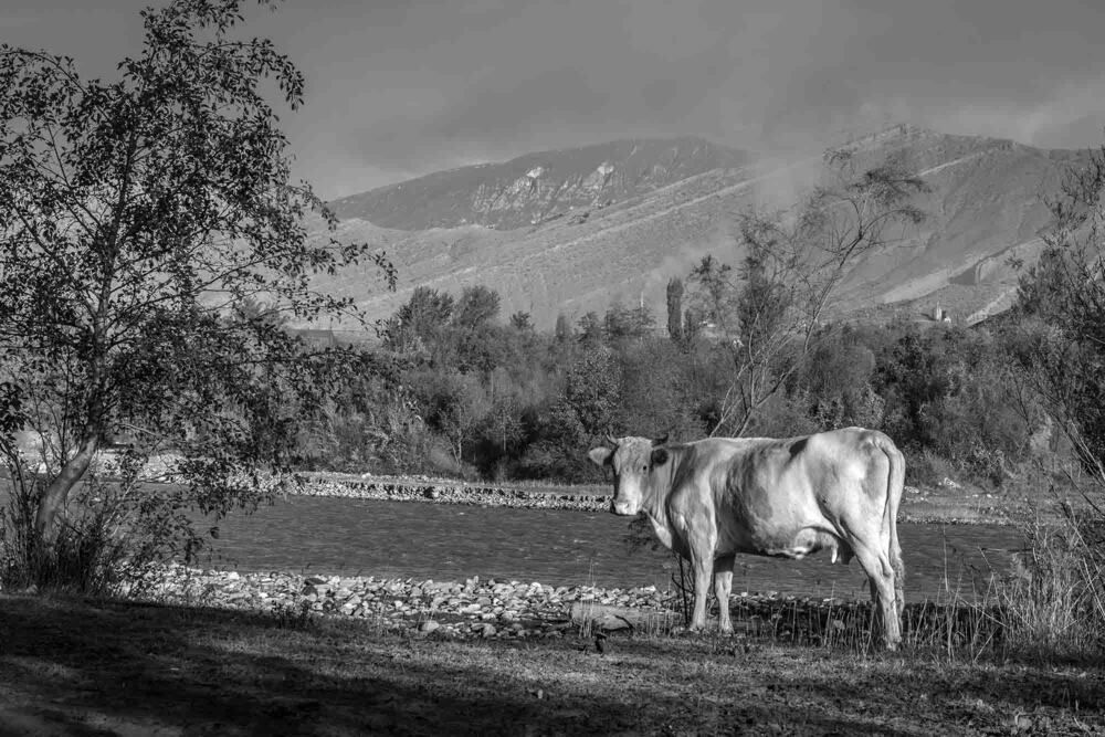 Photograph by Евгений Киселев
