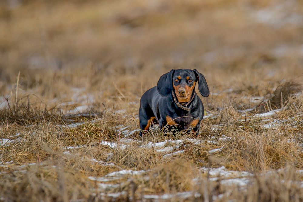 Photograph by Сергей Пидронов