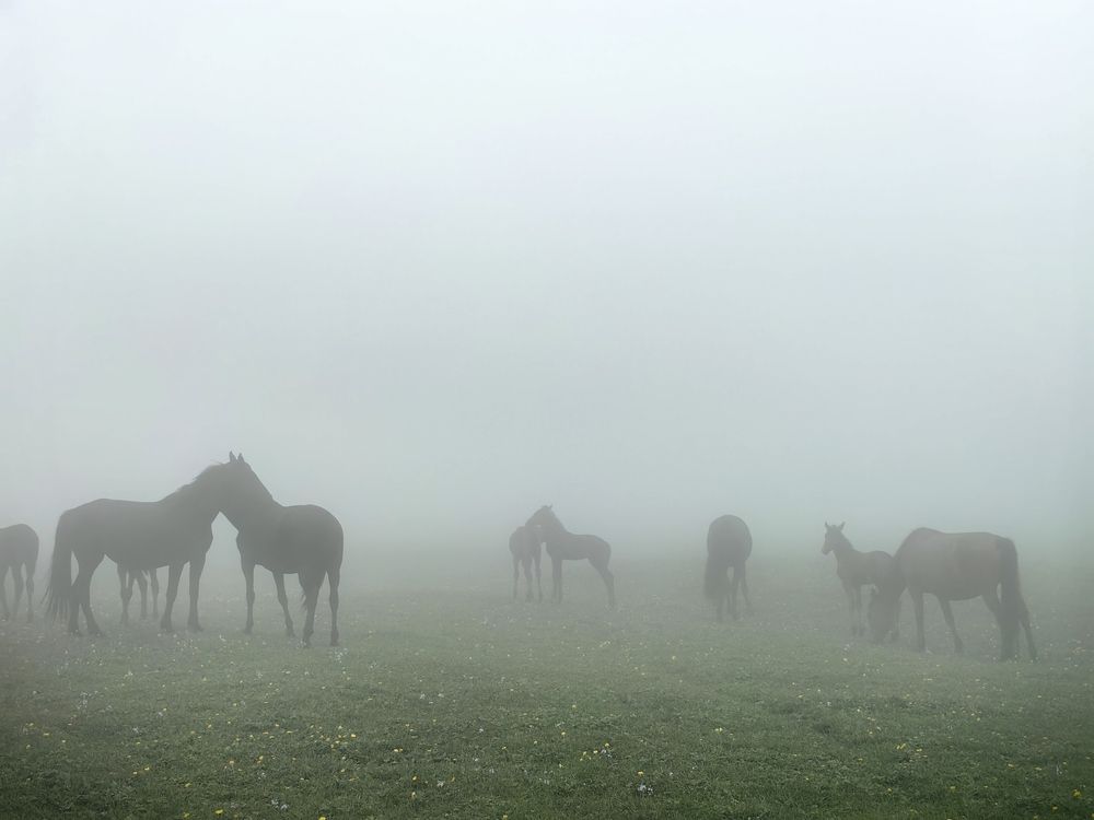 Photograph by Ярославна