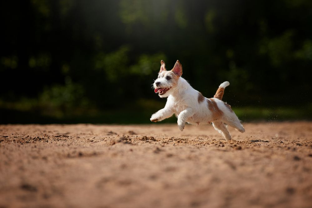 Photograph by Лана Полякова