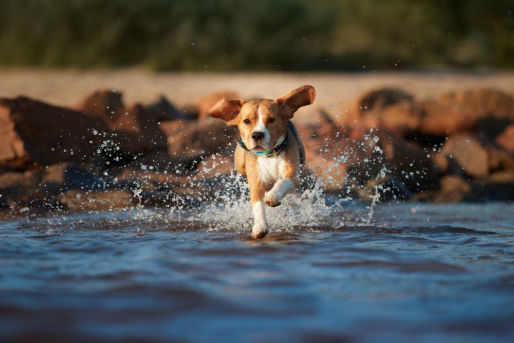 Photograph by Лана Полякова