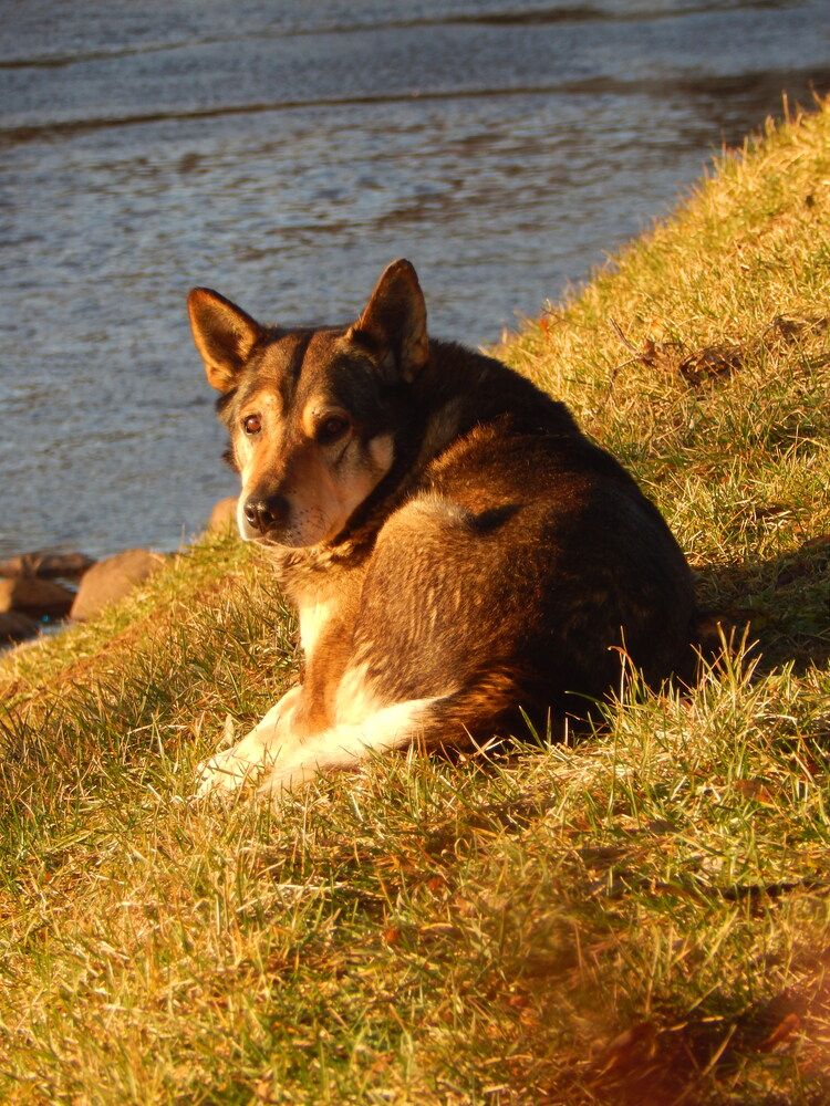 Photograph by Кирилл Елесин