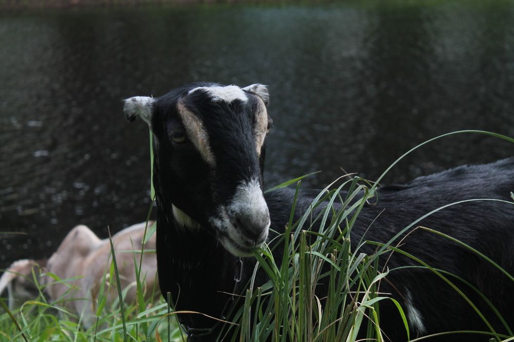 Photograph by Кирилл Елесин