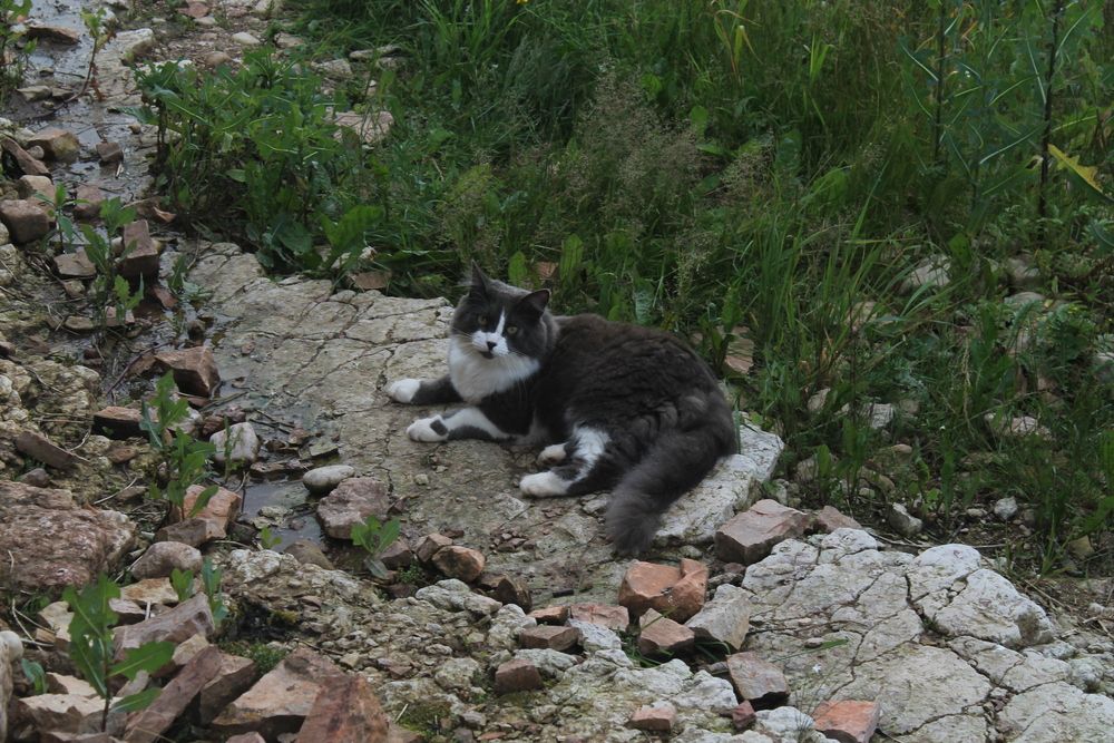 Photograph by Кирилл Елесин