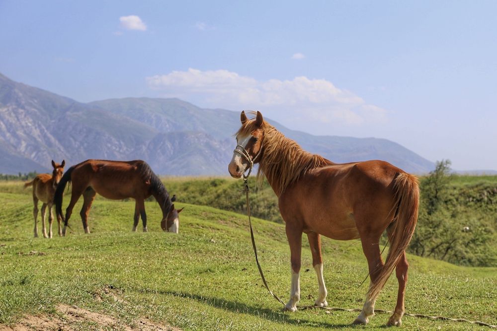 Photograph by Швец Павел