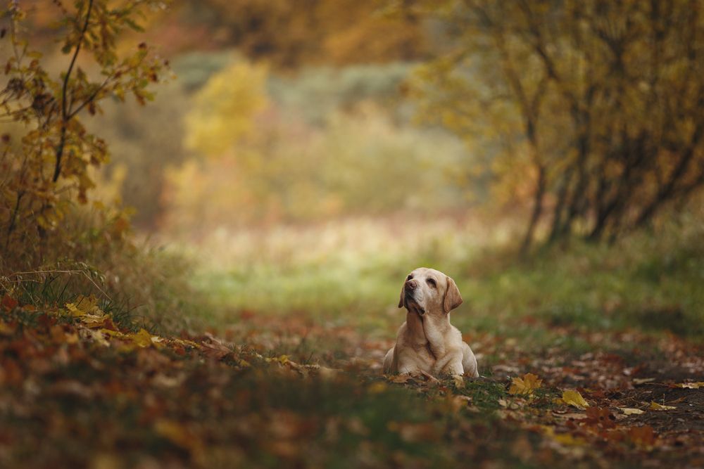 Photograph by Шерскова Мария