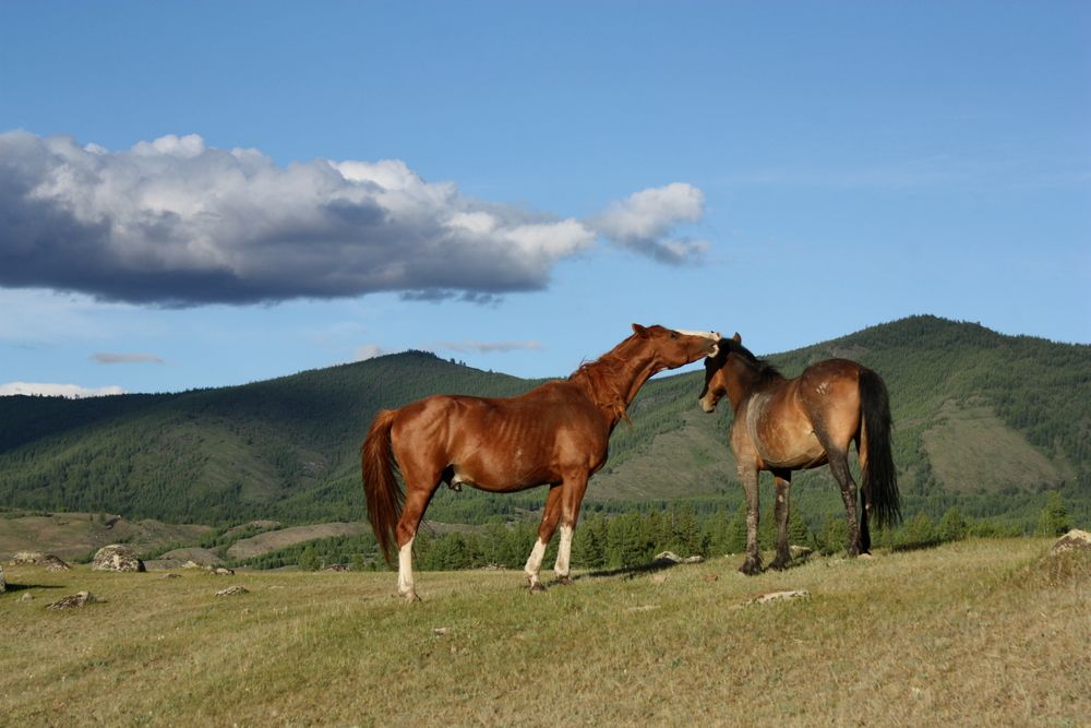 Ярким летом
