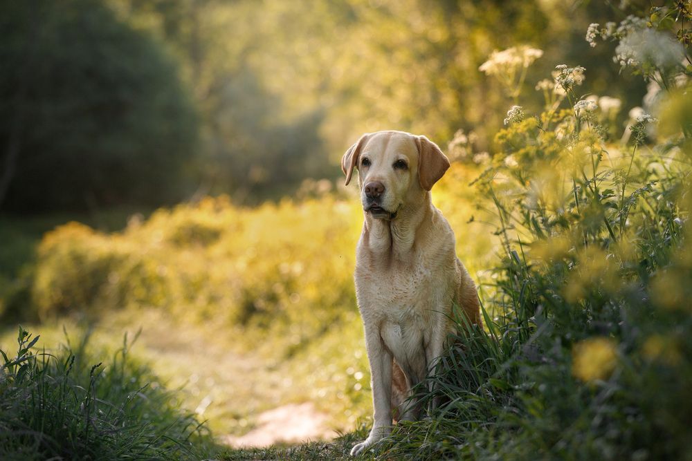 Photograph by Шерскова Мария