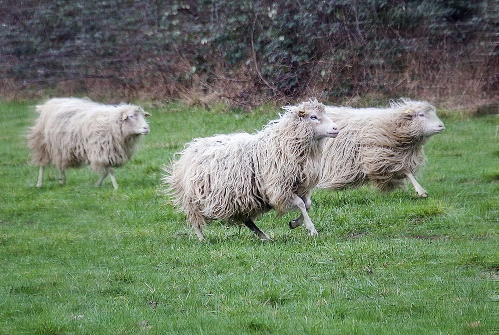 Фотография автора Александр