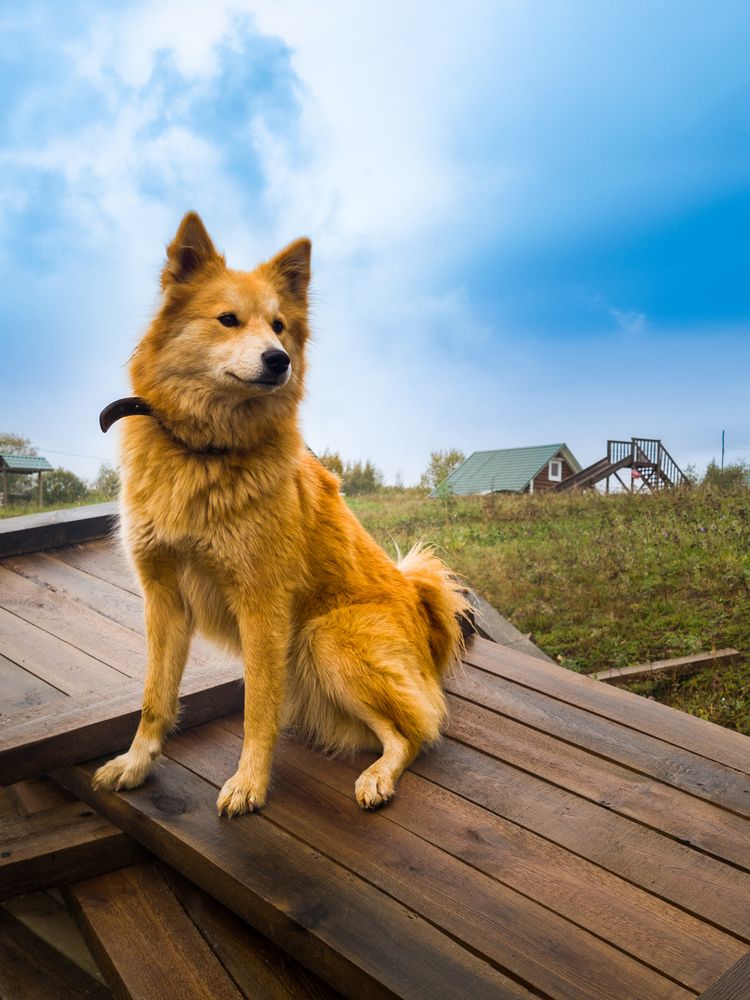 Photograph by Руслан Богданов