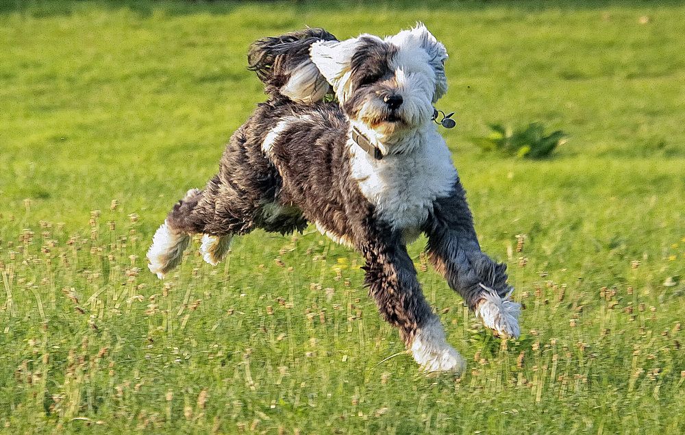 Фотография автора Александр