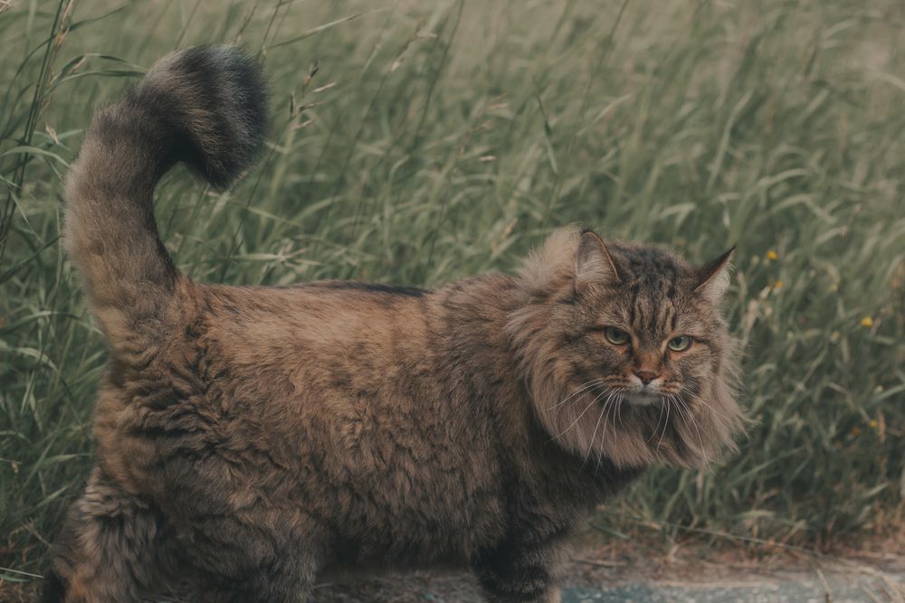 Photograph by Ольга Денисова