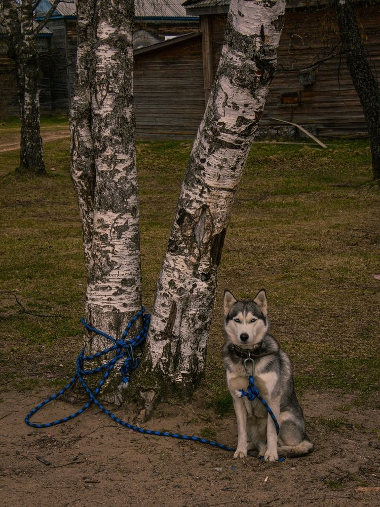 Photograph by Руслан Богданов
