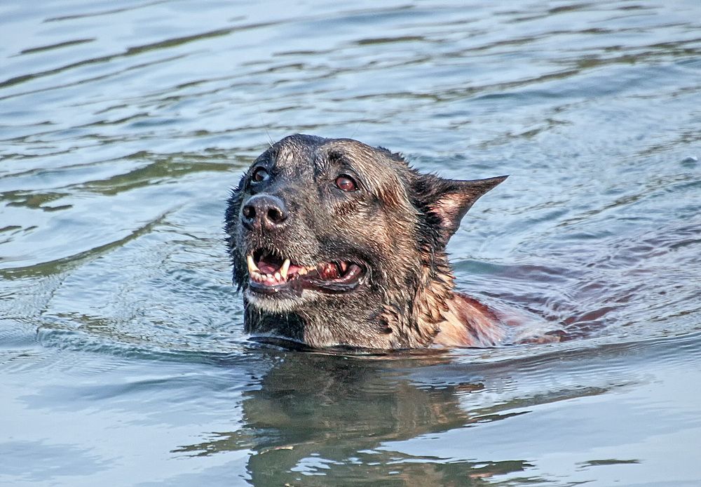 Фотография автора Александр