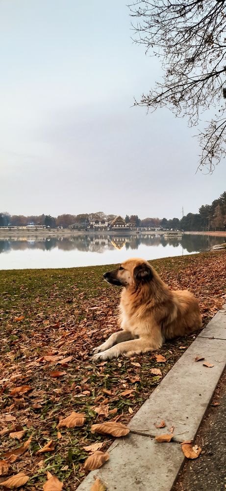 Photograph by Александра Ельникова