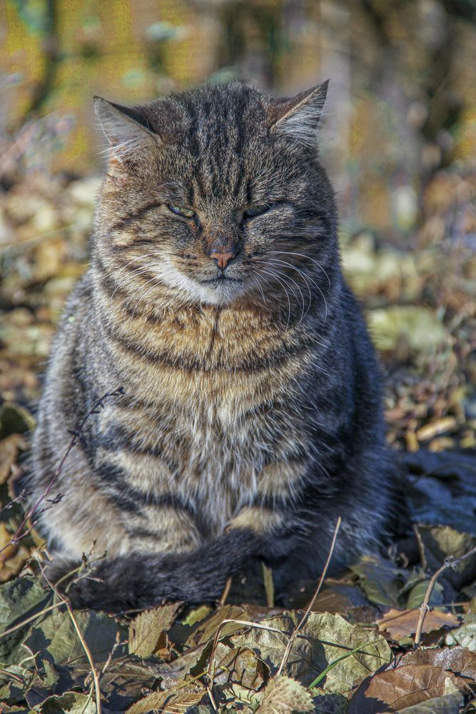 Photograph by Игорь Квочка