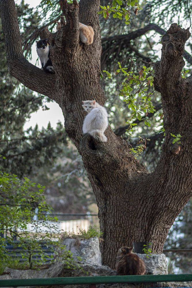 Photograph by Игорь Квочка