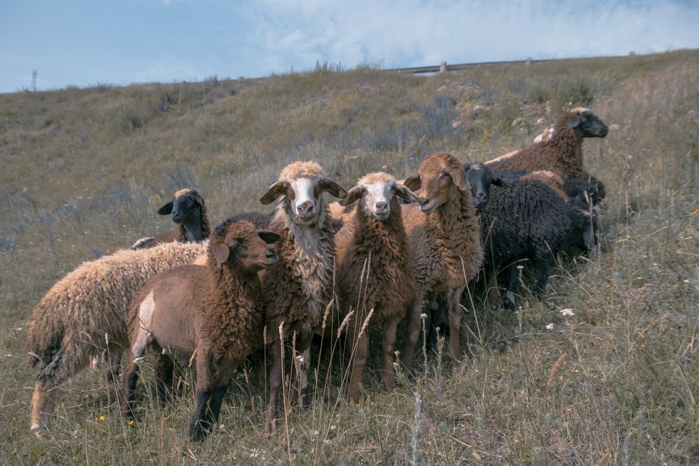 Photograph by Альфия Агзами