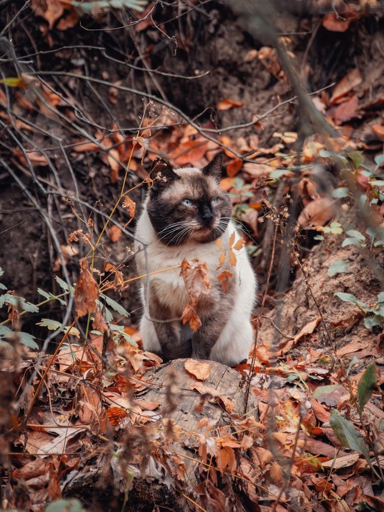 Photograph by Анна Любимова