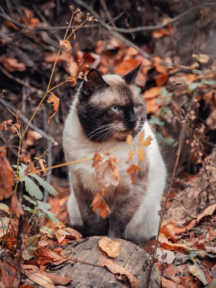 Photograph by Анна Любимова