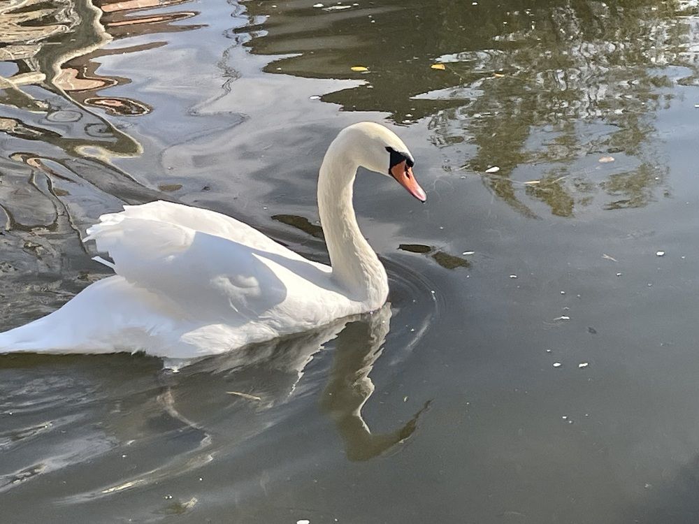 Photograph by Дарья Ларченко