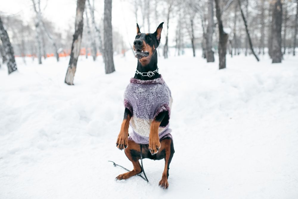 Photograph by дамир чекалин