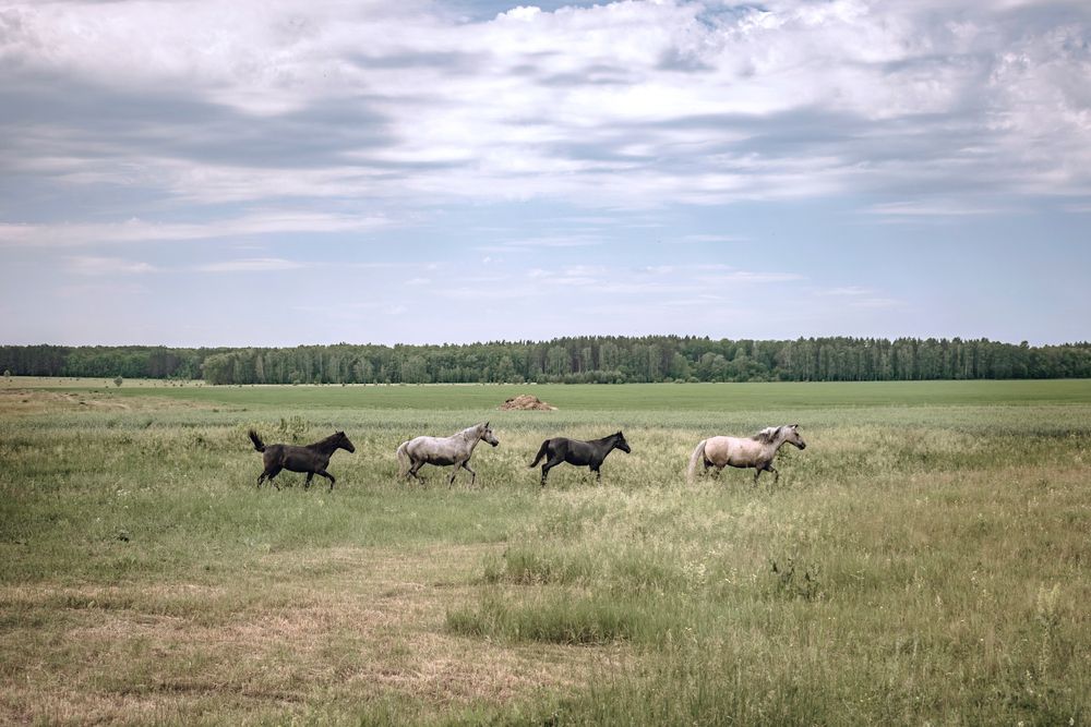 Photograph by Альфия Агзами