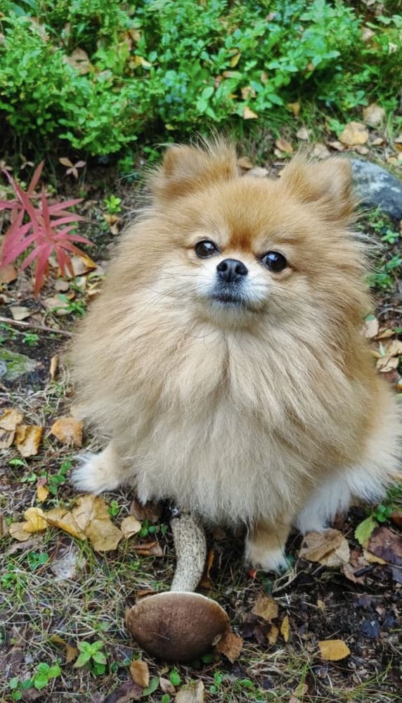 Photograph by Ольга Желтова