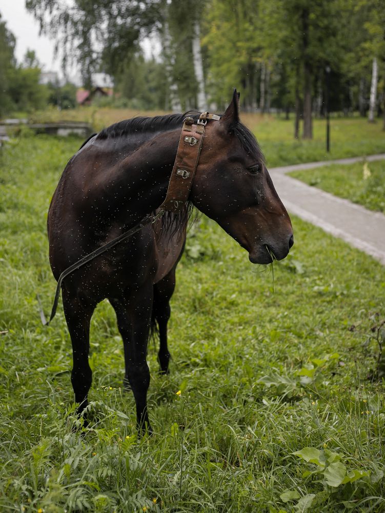 Photograph by Георгий Юркин