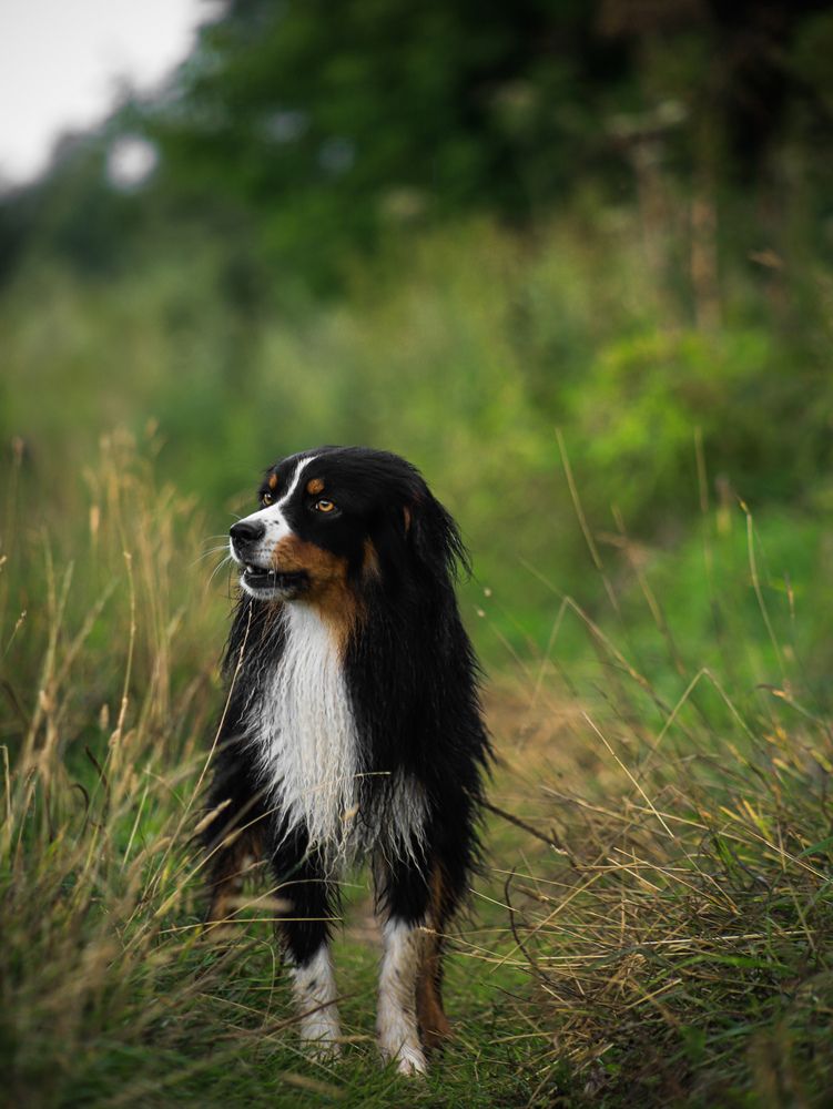 Photograph by Георгий Юркин