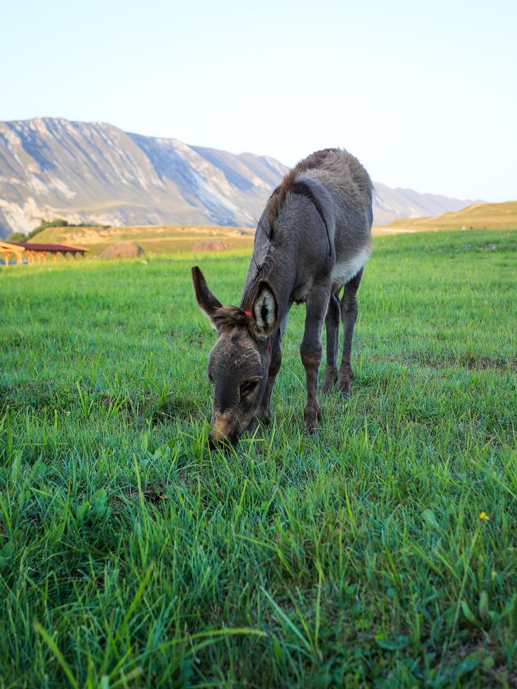 Photograph by Георгий Юркин