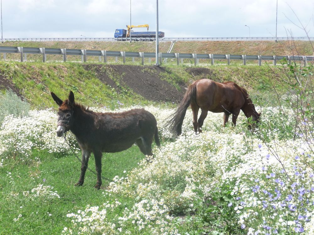 Фотография автора Клавдия Васильева