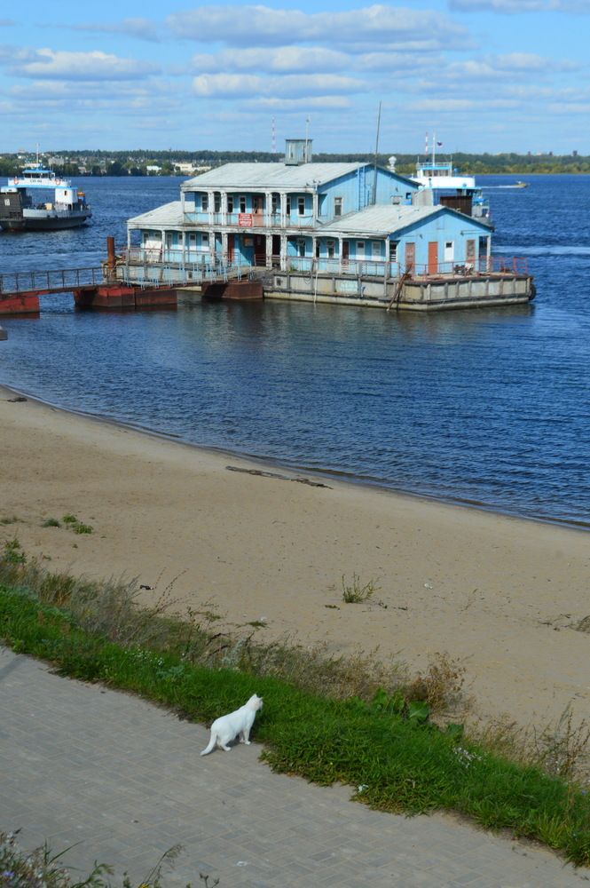 Фотография автора Клавдия Васильева