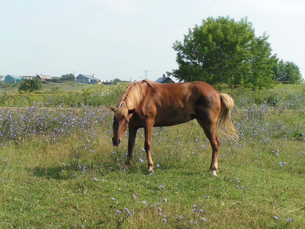 Фотография автора Клавдия Васильева
